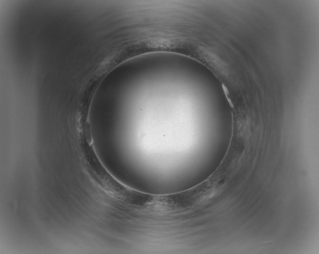 X0000073840211200608101238