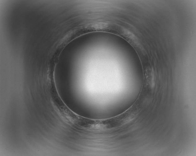 X0000073840212200608101238