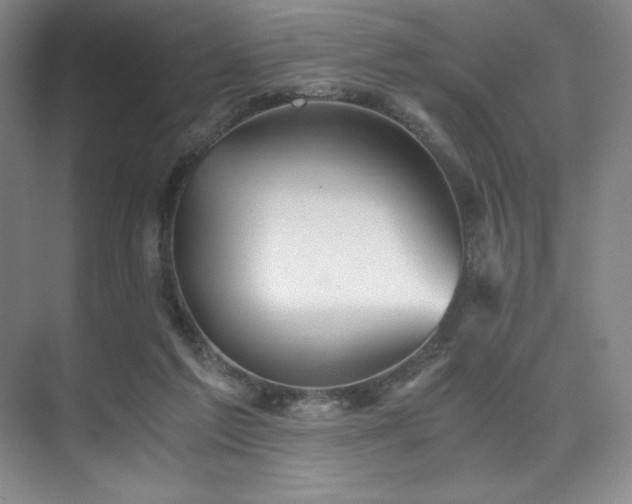 X0000073840213200608101238