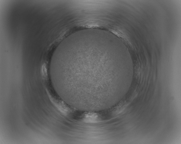 X0000073840214200608101238