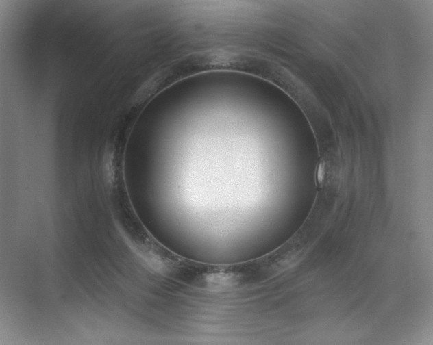 X0000073840216200608101238