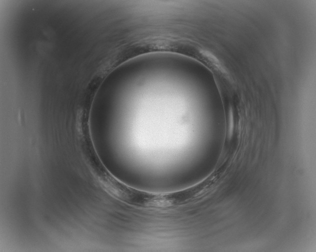 X0000073840217200608101238