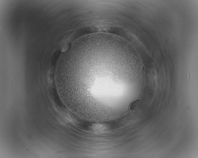 X0000073840218200608101238