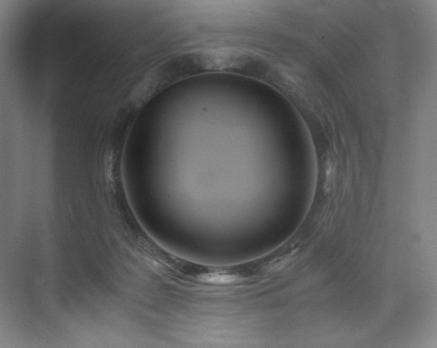 X0000073840219200608101238