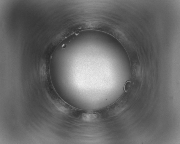 X0000073840220200608101238