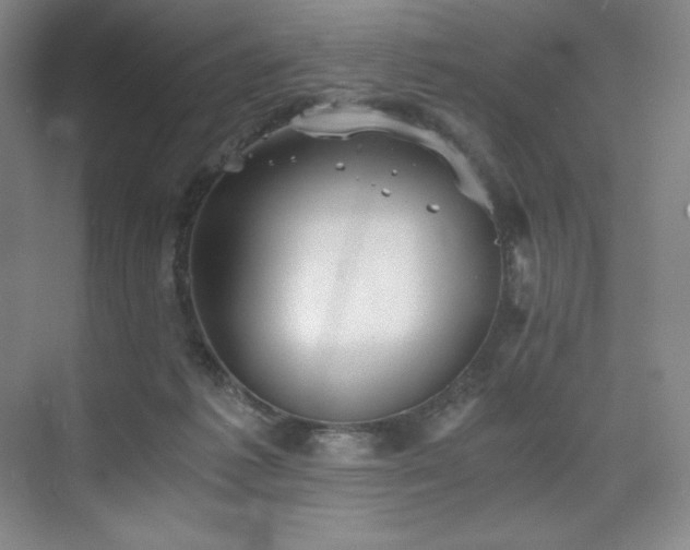 X0000073840221200608101238