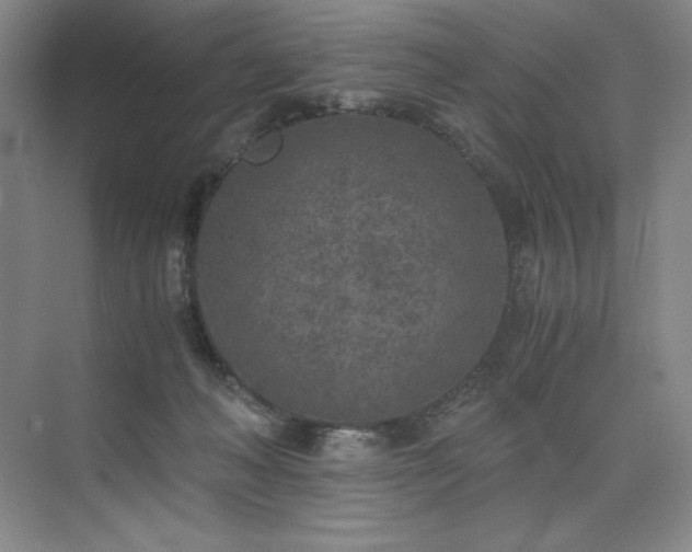 X0000073840222200608101238