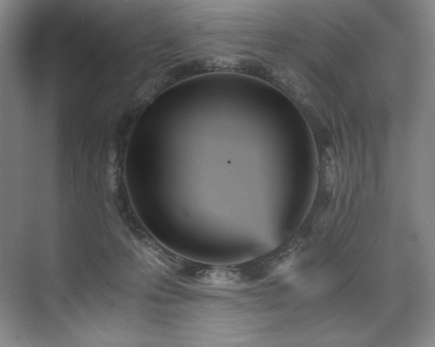 X0000073840223200608101238