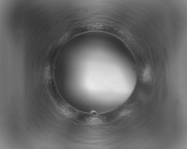 X0000073840224200608101238