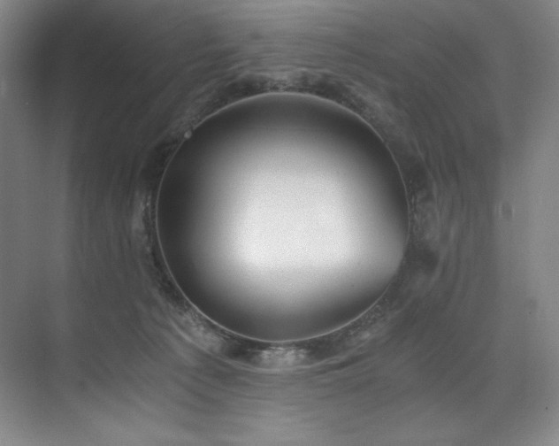 X0000073840225200608101238