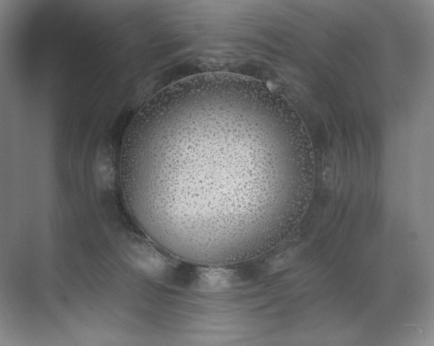 X0000073840226200608101238