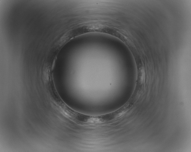 X0000073840227200608101238