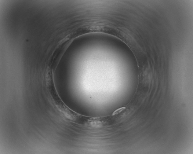 X0000073840228200608101238