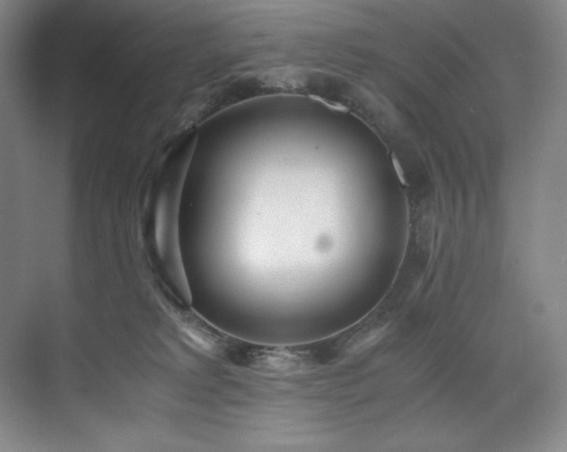 X0000073840229200608101238