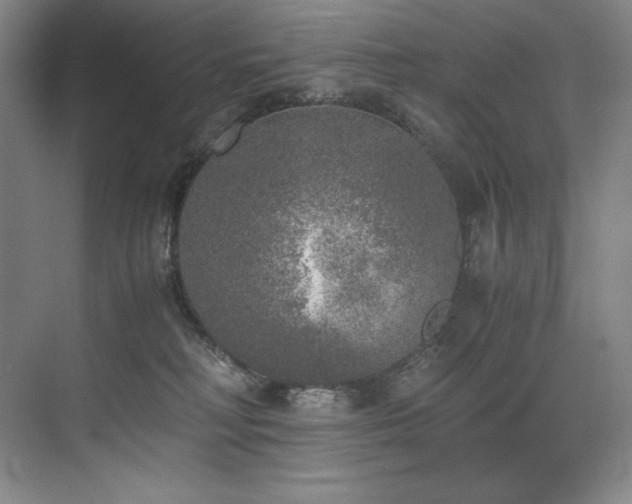 X0000073840230200608101238