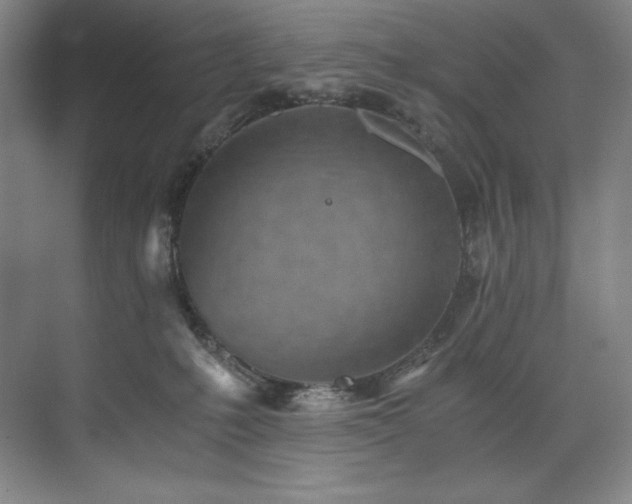 X0000073840231200608101238