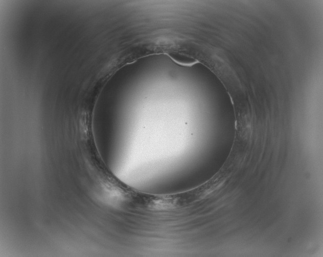 X0000073840232200608101238