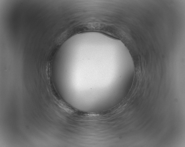 X0000073840233200608101238