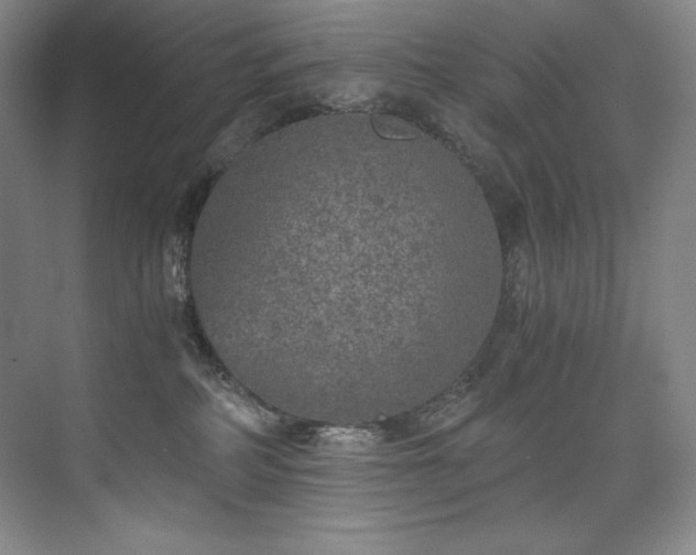 X0000073840234200608101238