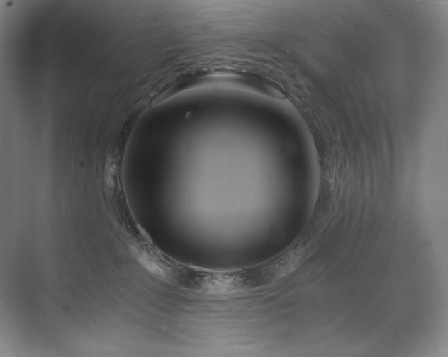 X0000073840235200608101238