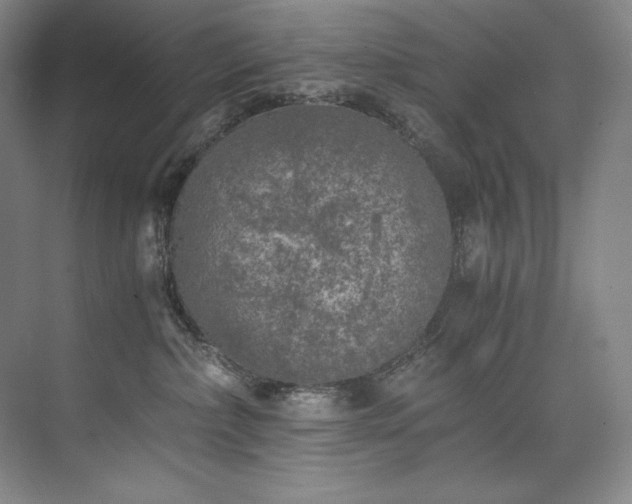 X0000073840236200608101237