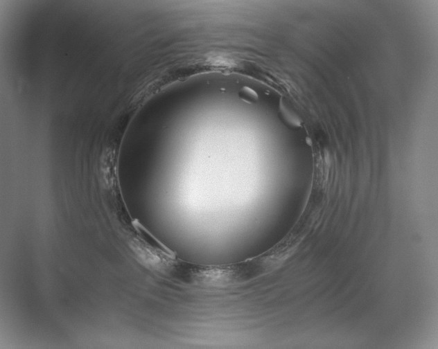 X0000073840237200608101237