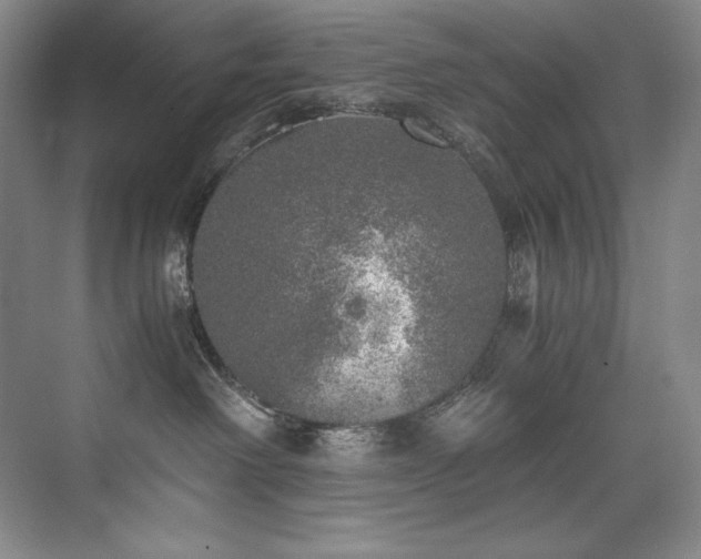 X0000073840238200608101237