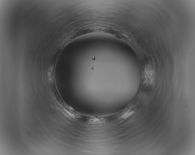 X0000073840239200608101237