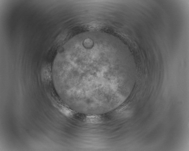 X0000073840240200608101237