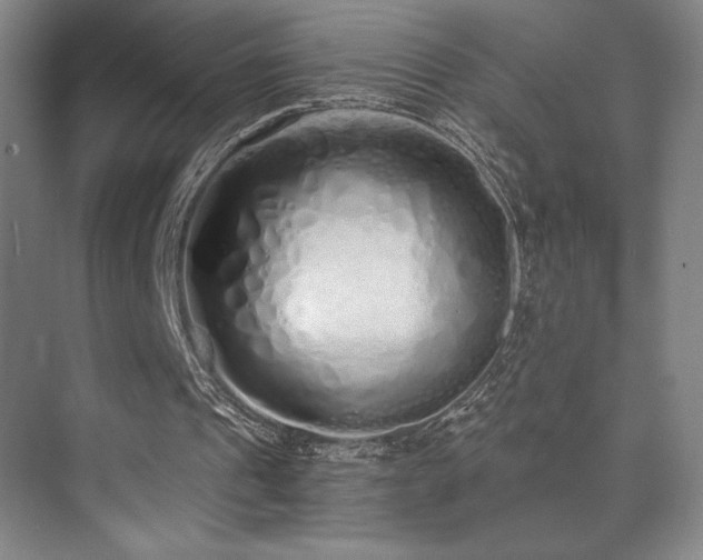 X0000073840241200608101237