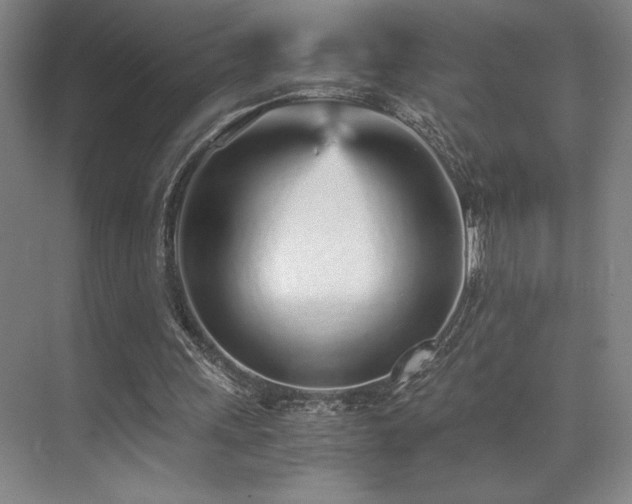 X0000073840243200608101237