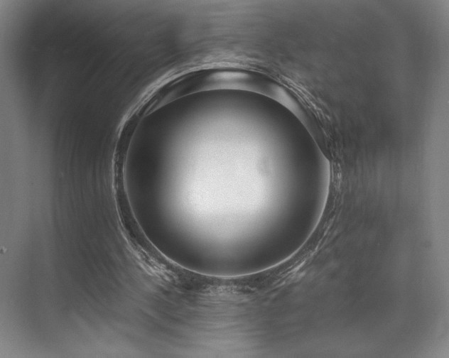 X0000073840244200608101237