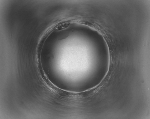 X0000073840245200608101237