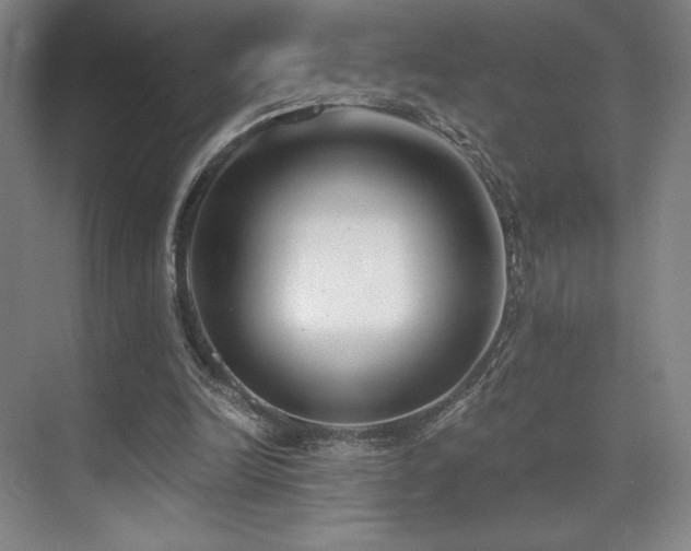 X0000073840246200608101237