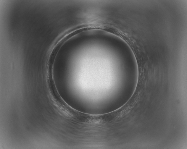 X0000073840247200608101237