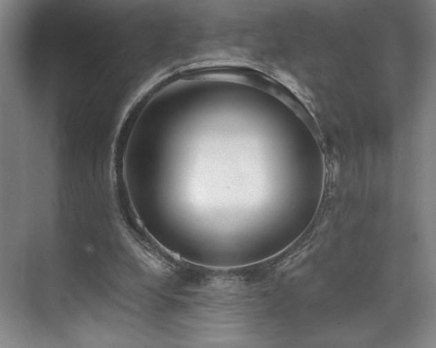 X0000073840248200608101237