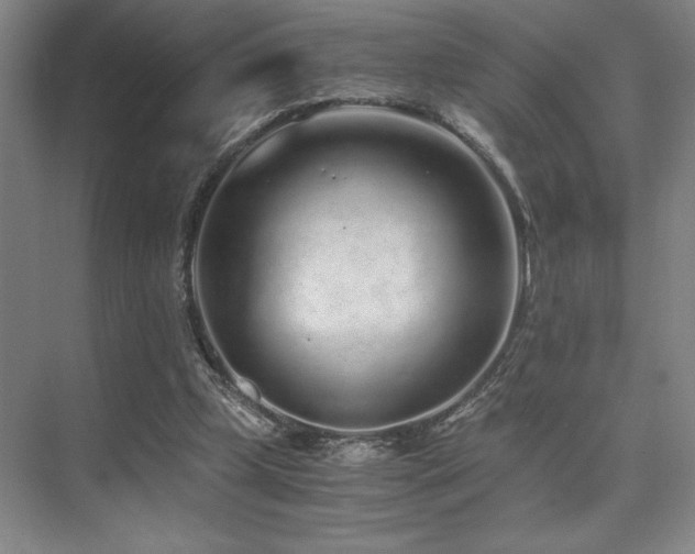 X0000073840249200608101237