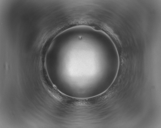 X0000073840250200608101237