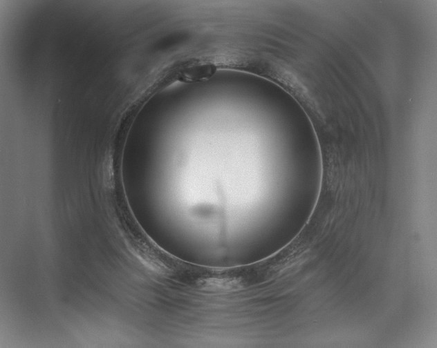 X0000073840251200608101237