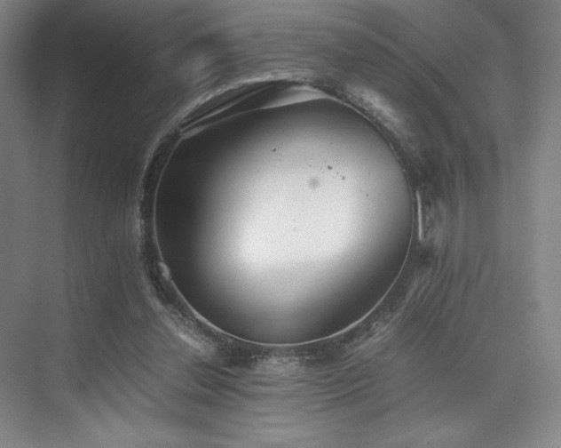 X0000073840252200608101237