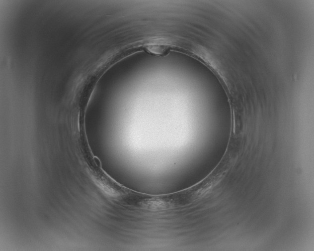 X0000073840253200608101237