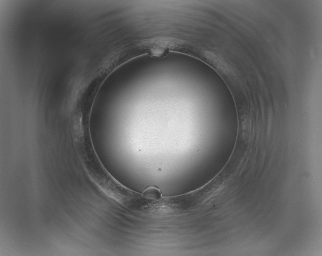 X0000073840254200608101237