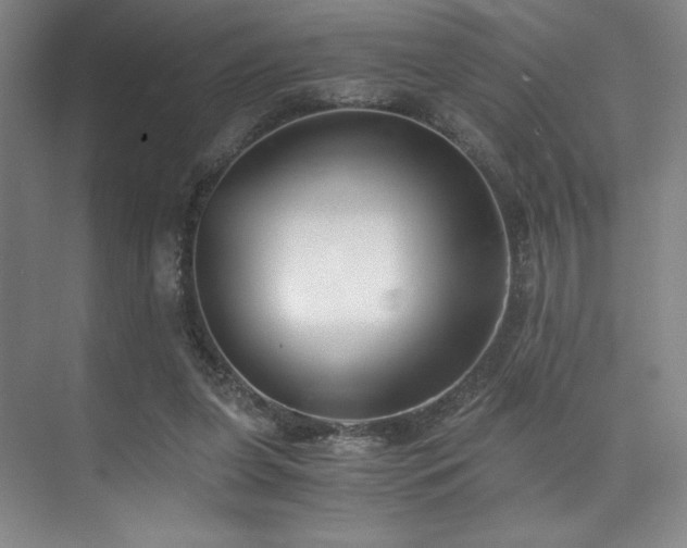 X0000073840255200608101237