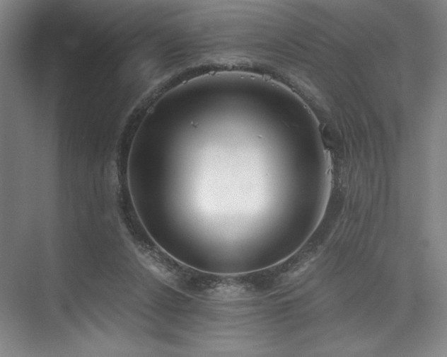 X0000073840256200608101237