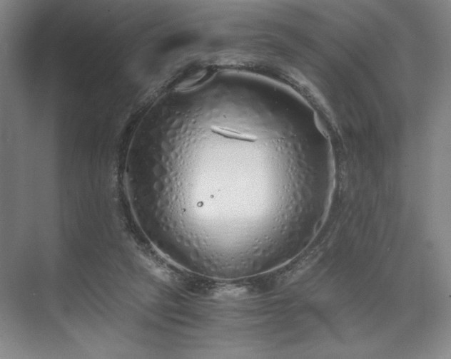 X0000073840257200608101237