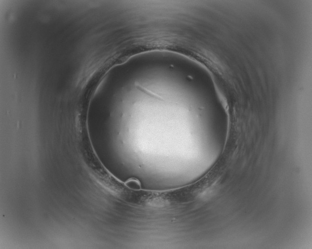 X0000073840258200608101237