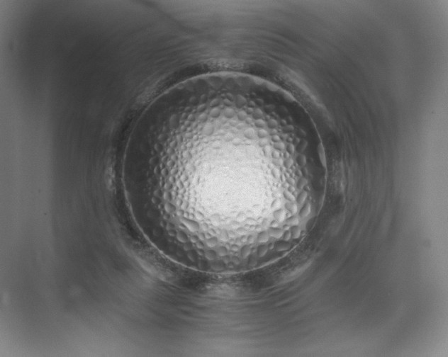 X0000073840259200608101237