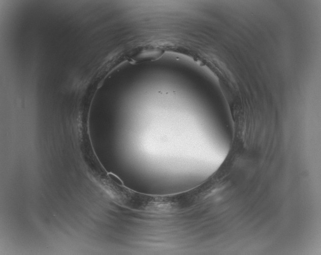 X0000073840260200608101237