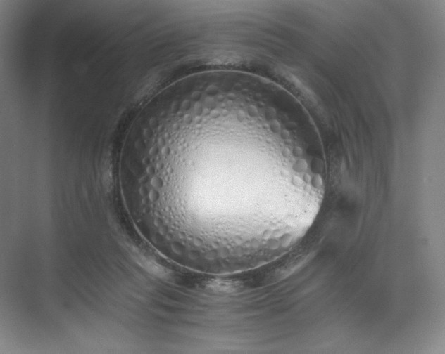 X0000073840261200608101237