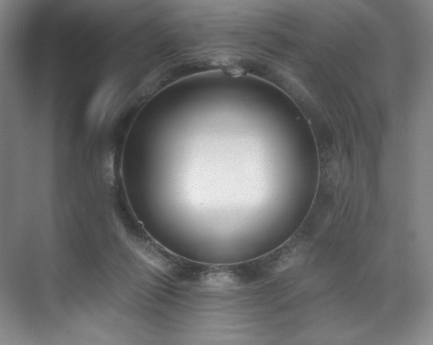 X0000073840262200608101237